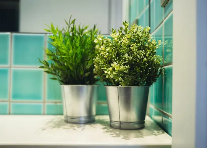 Accogliente Monolocale Gran Madre アパート