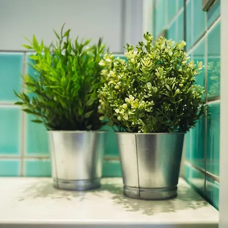 Accogliente Monolocale Alla Gran Madre Apartment